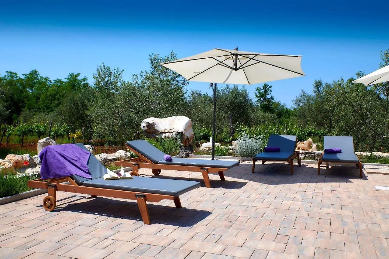 Stifanići Relax House Surrounded By Olives And Vineyard 빌라 크로아티아