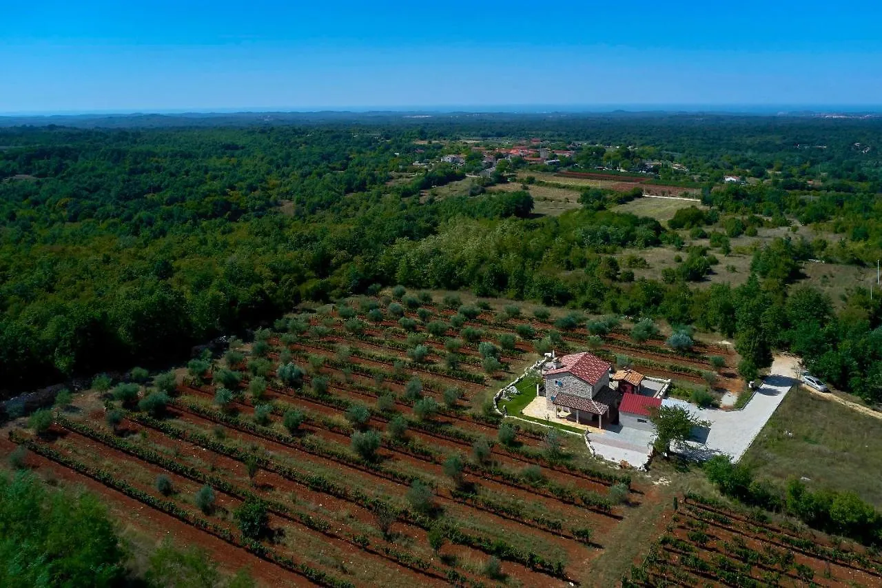 Stifanići Relax House Surrounded By Olives And Vineyard 빌라