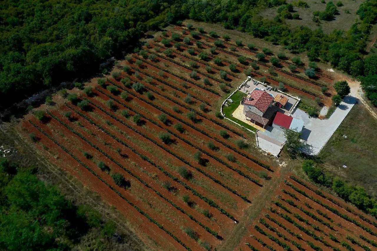 Stifanići Relax House Surrounded By Olives And Vineyard 빌라 0*,  크로아티아