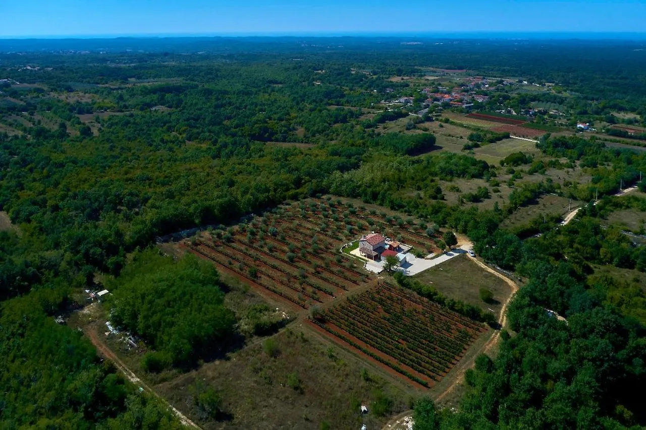 Stifanići Relax House Surrounded By Olives And Vineyard 빌라